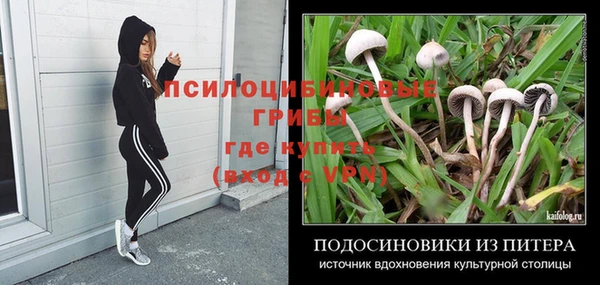 стаф Горнозаводск