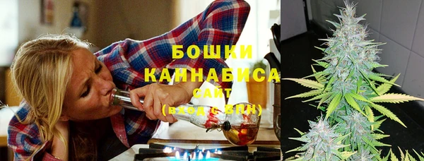 стаф Горнозаводск