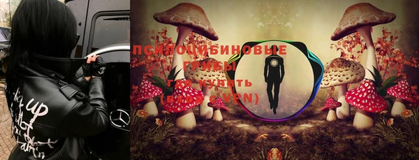 герыч Горняк