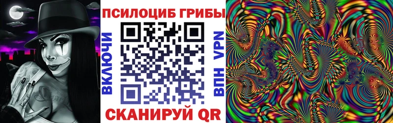 Галлюциногенные грибы Psilocybine cubensis  Кочубеевское 